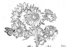 pepe Itulau Lanu Lolomi